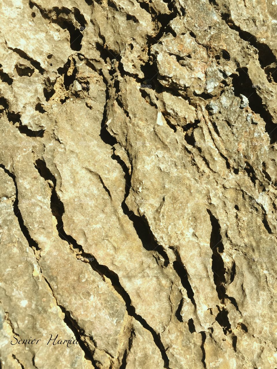 Different kind of rocks 