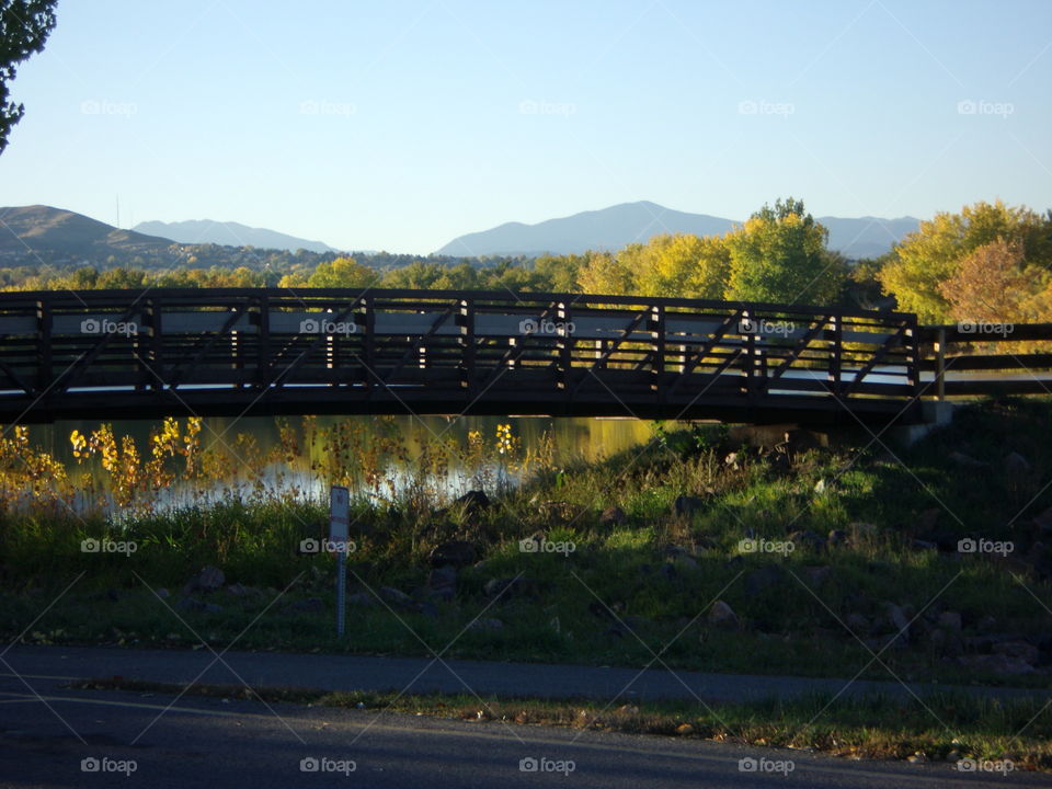 Bridge Over Willows