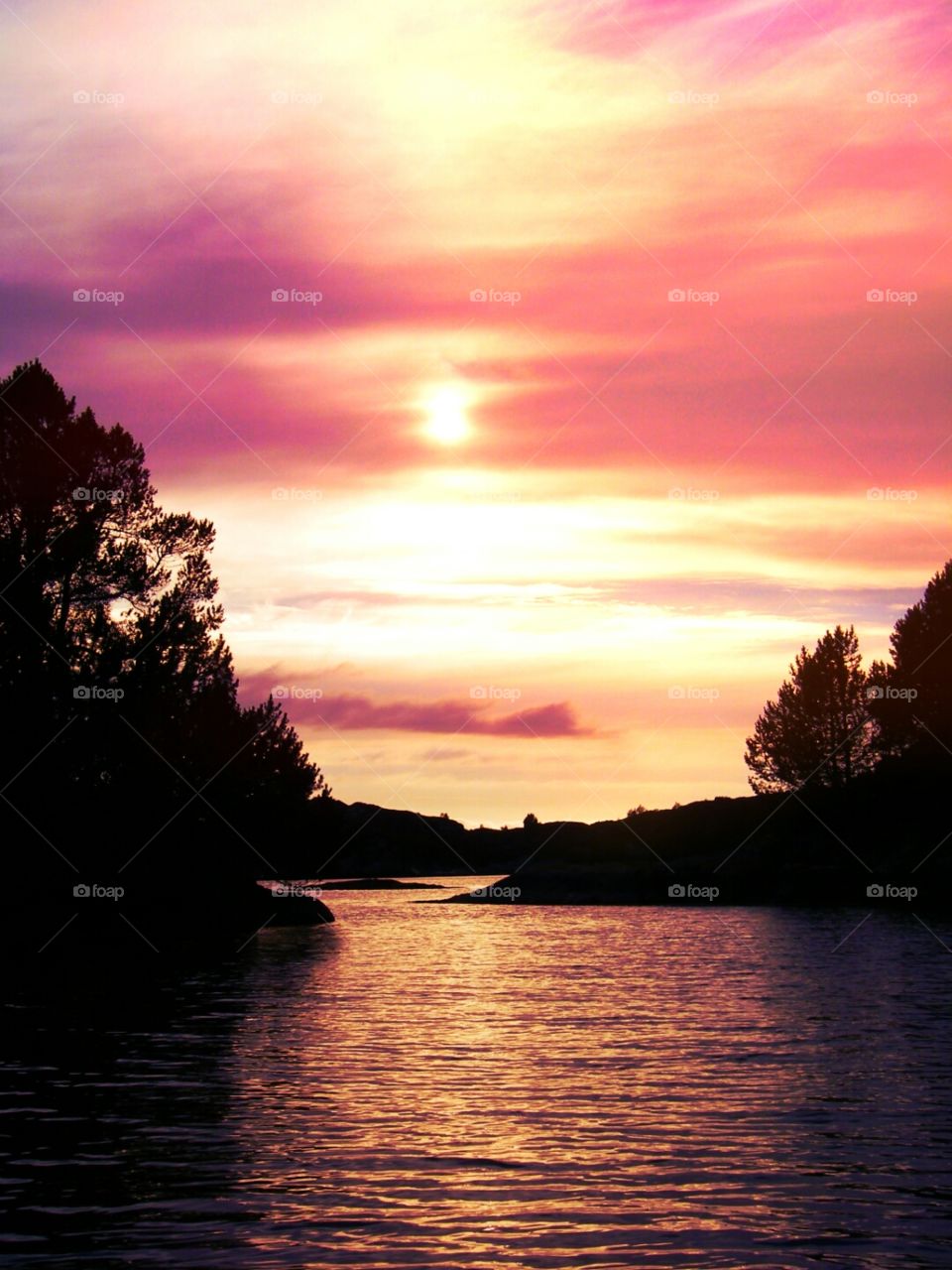 sunset, river silhouette trees. the silhouet of trees alongside a river at sea with sunset