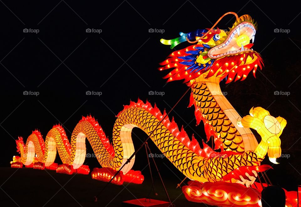 Dragon at chinese lantern festival