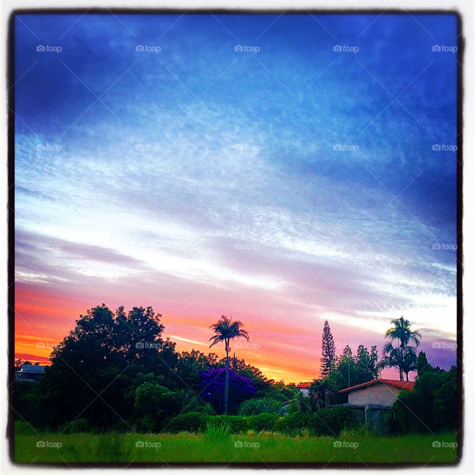 Desperte, Jundiaí.
Que o nosso dia seja verdadeiramente bom com a bela #paisagem!
🍃
#sol #sun #sky #céu #photo #nature #morning #alvorada #natureza 