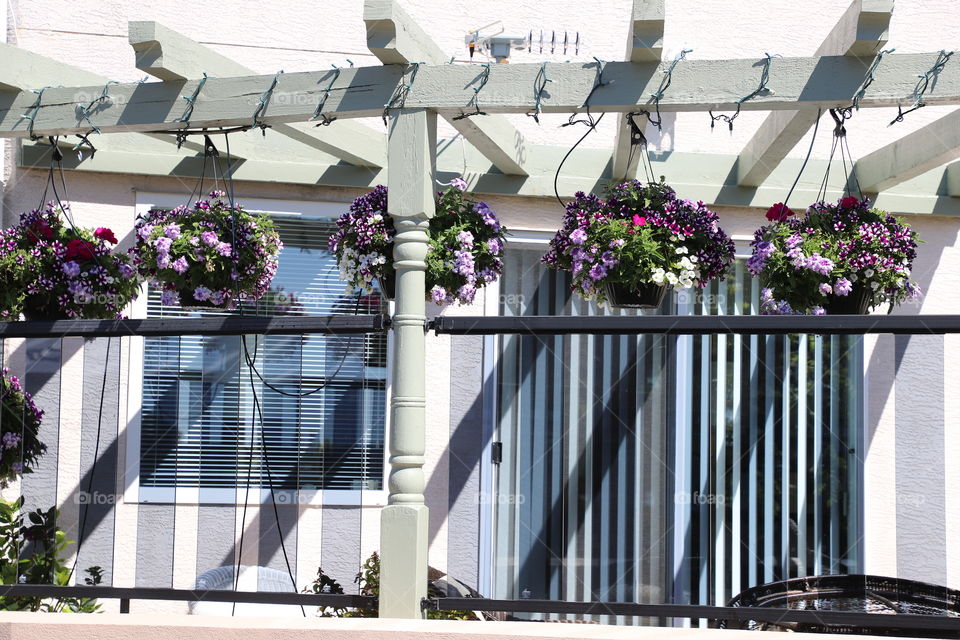 Shadow of wooden structure with flower baskets hanging on it