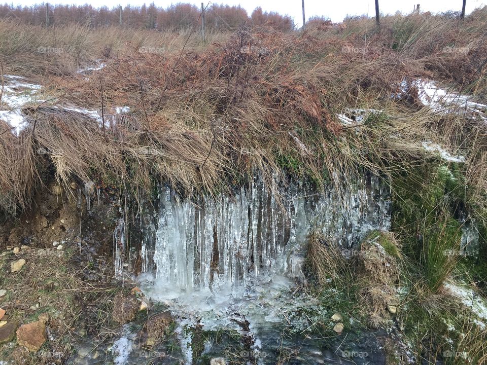Ice forming on a bank