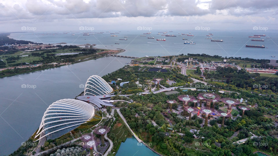 Garden by the bay view evening light