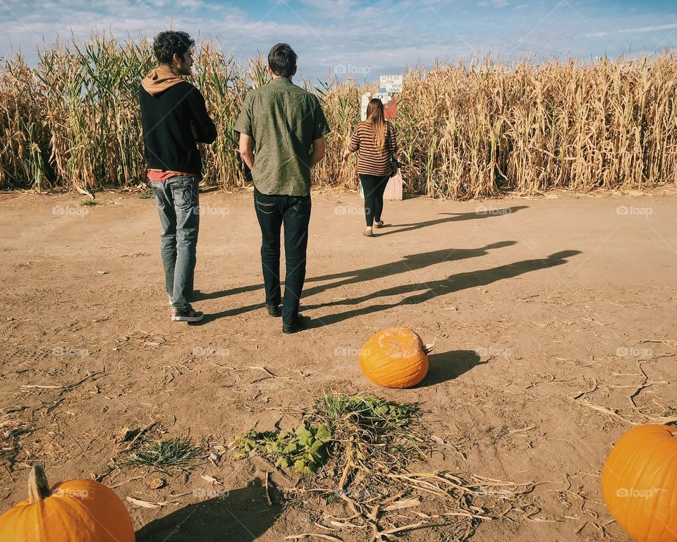 Corn Maze w/ Friends