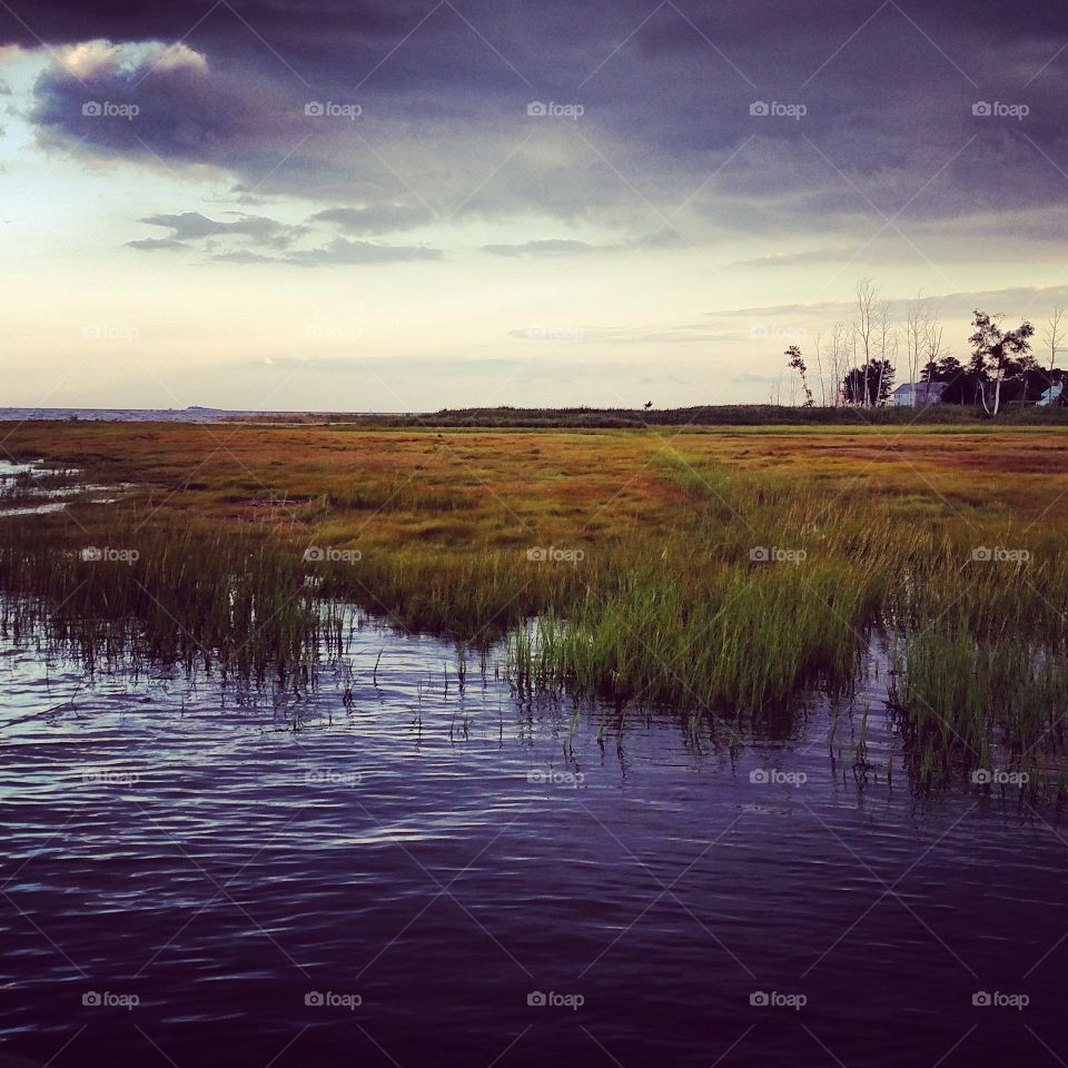 Long Island Sound Marsh