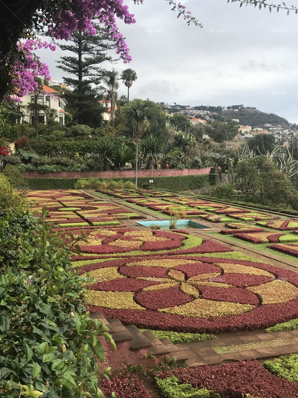 Jardim botânico Funchal 