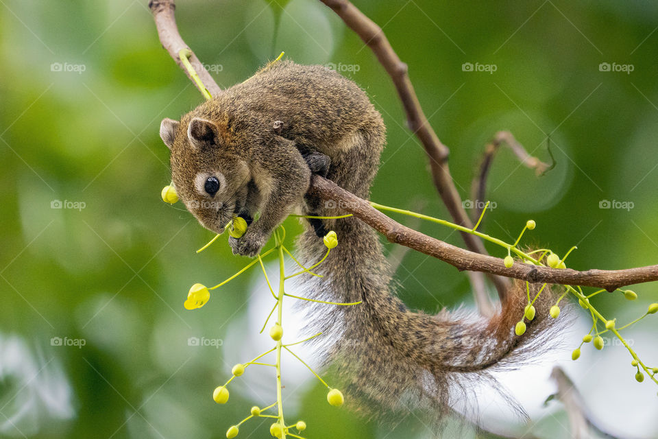 Snacking during spring 