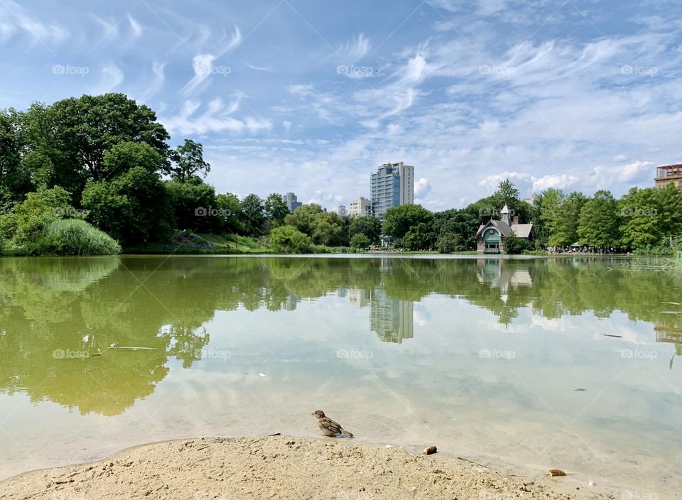 Reflection of the trees and the building 