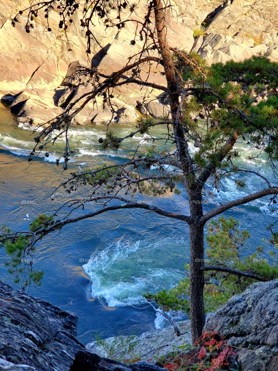Great Falls Park