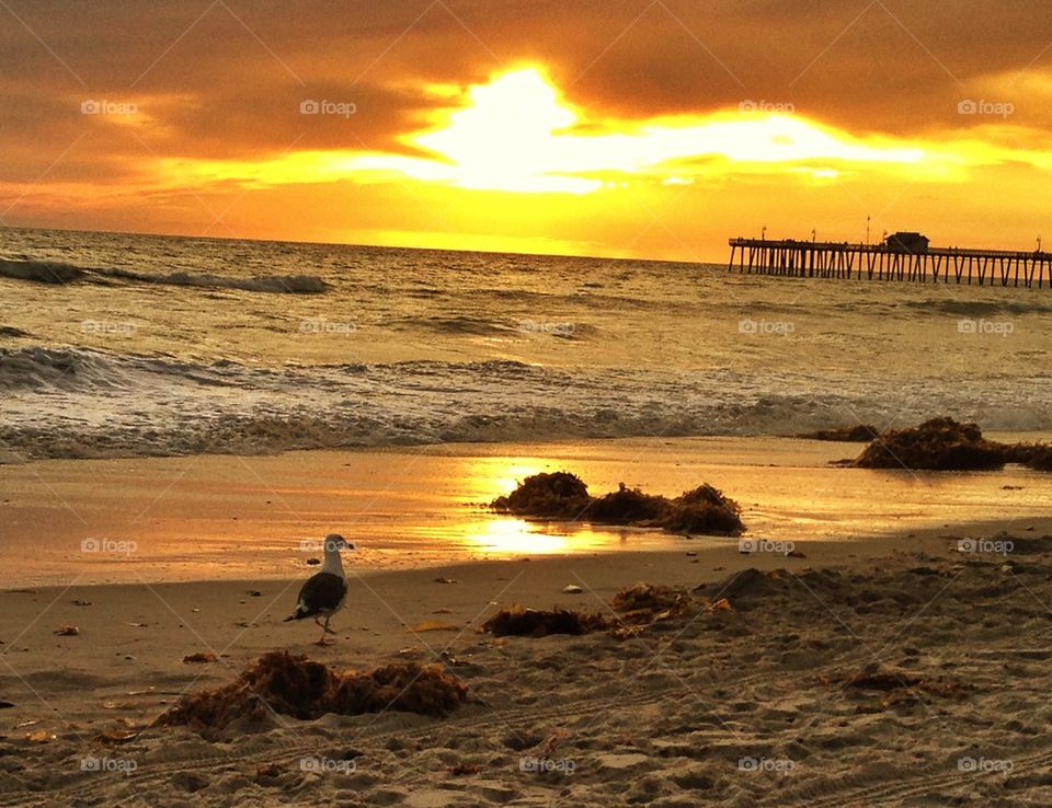 Sunset at the beach