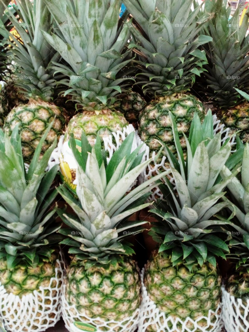 Pineapples
