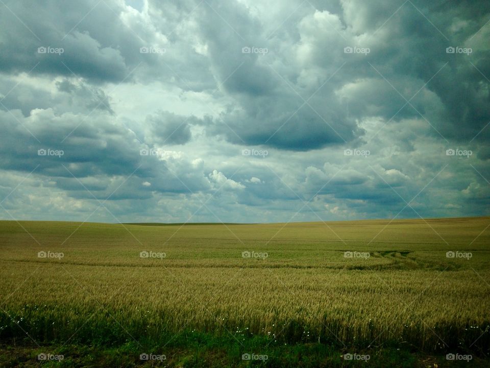 No Person, Landscape, Field, Agriculture, Sky