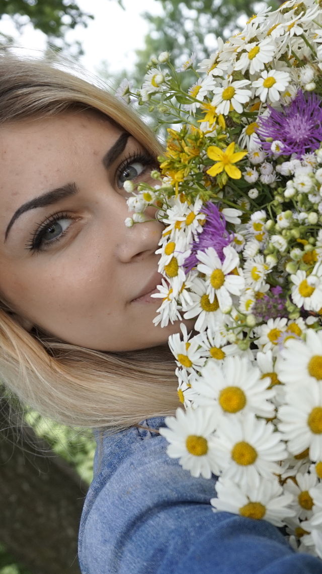 Flower, Nature, Summer, Beautiful, Outdoors