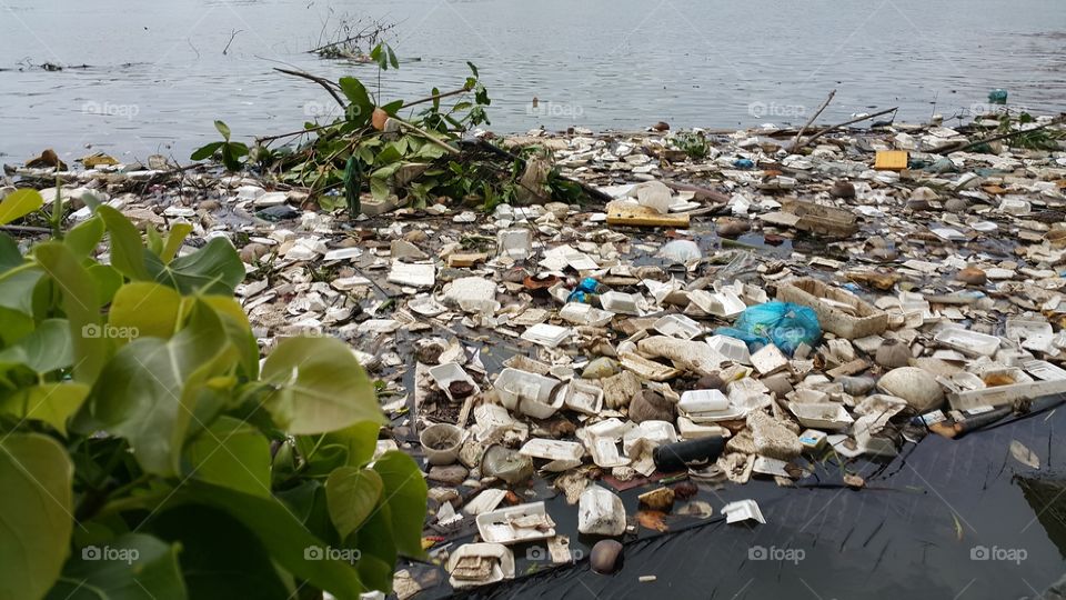 Plastic pollution in water with Styrofoam products and others.