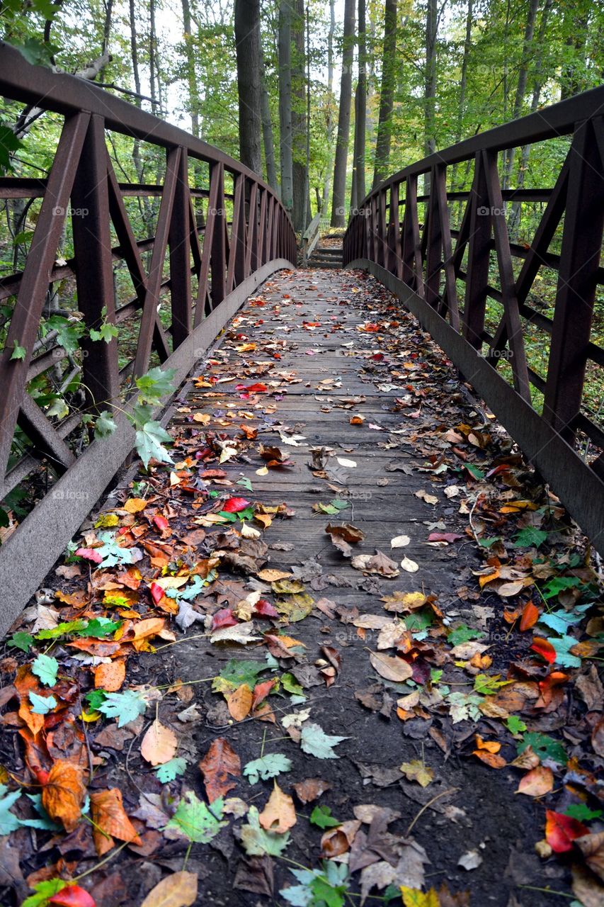 Walking bridge in Autumn