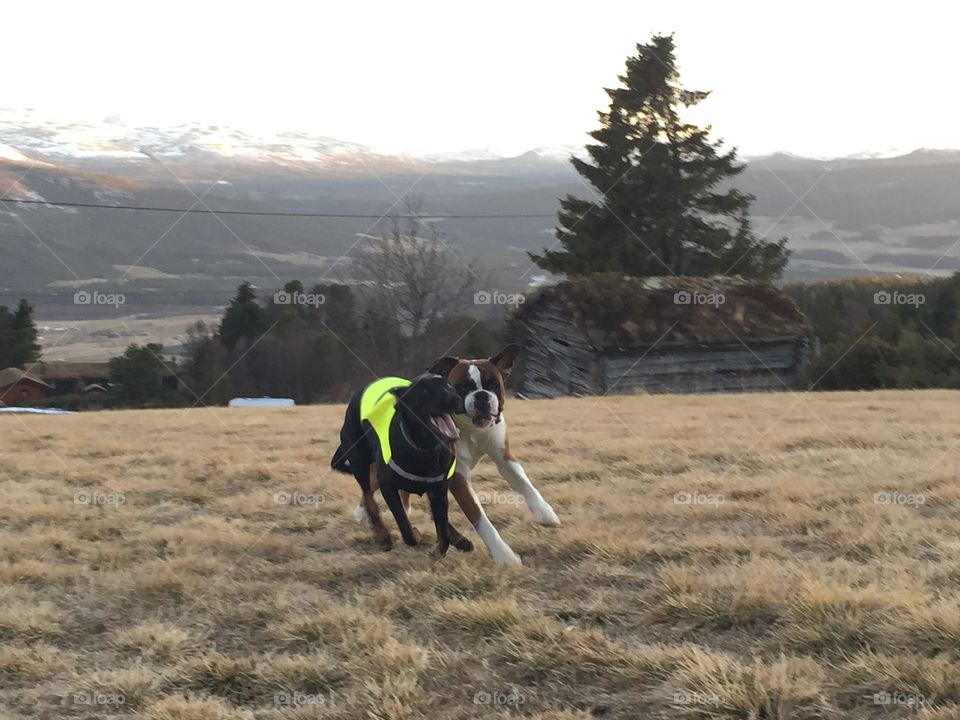 Friends. The best friends on their first trip together 