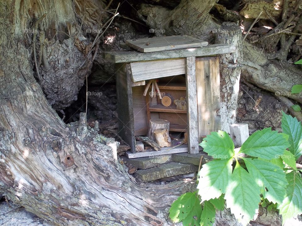 up close of fairy house