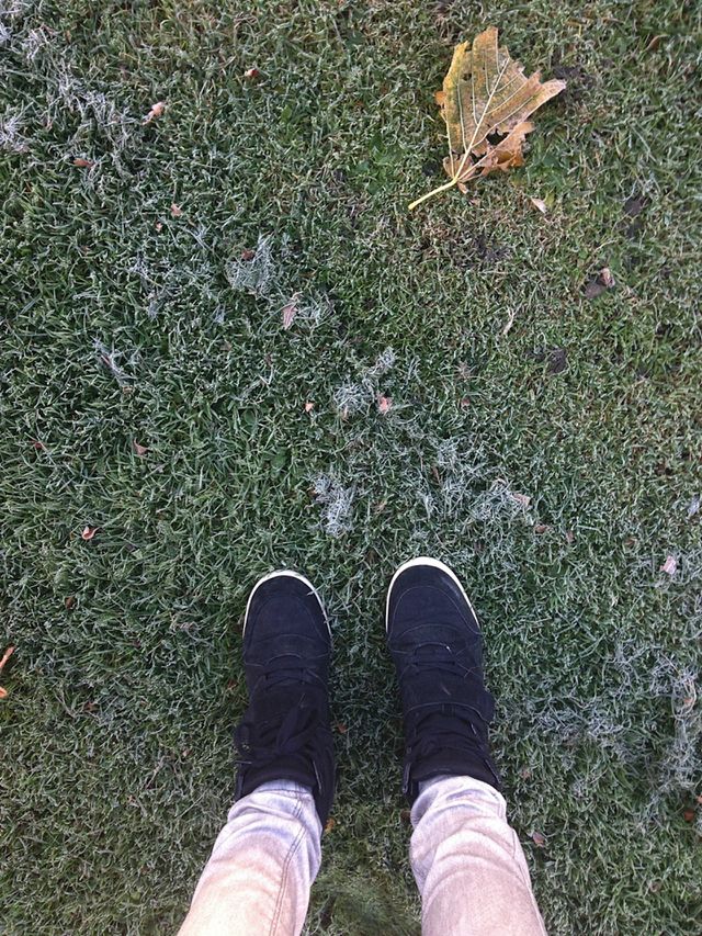 frozen