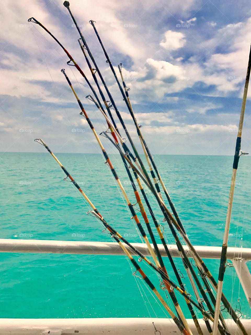Tropical fishing 