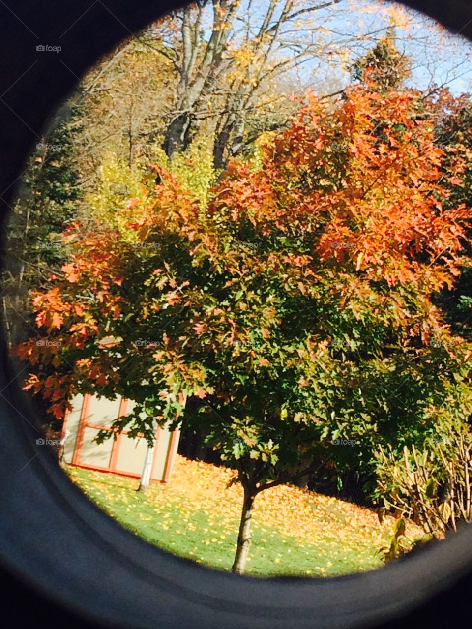 Yard view through cylinder