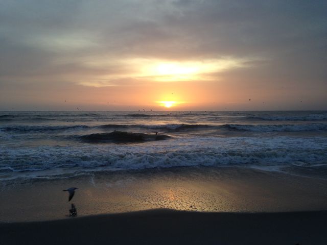 Sunrise in the cape 