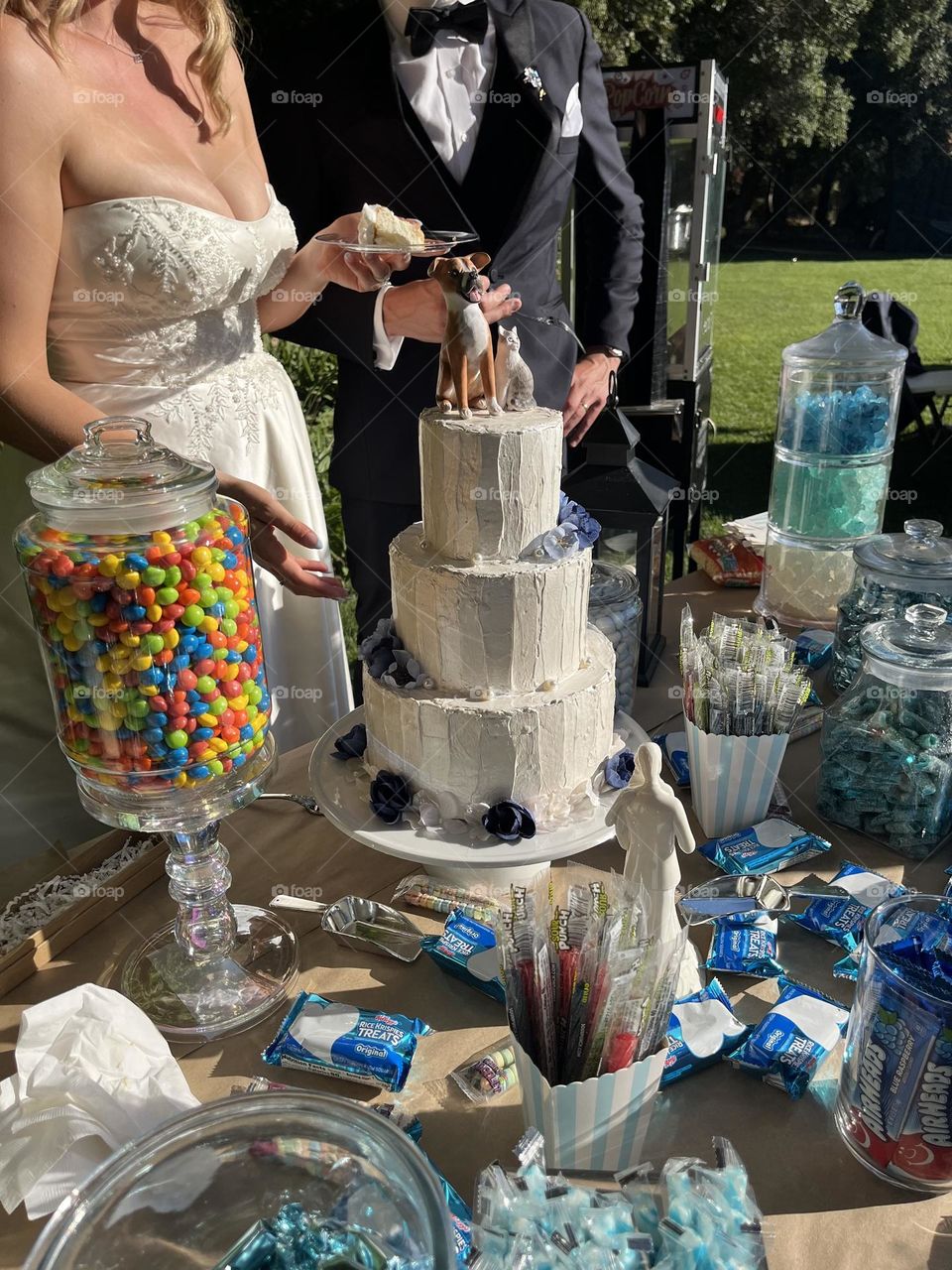 Dog and Cat Cake Topper