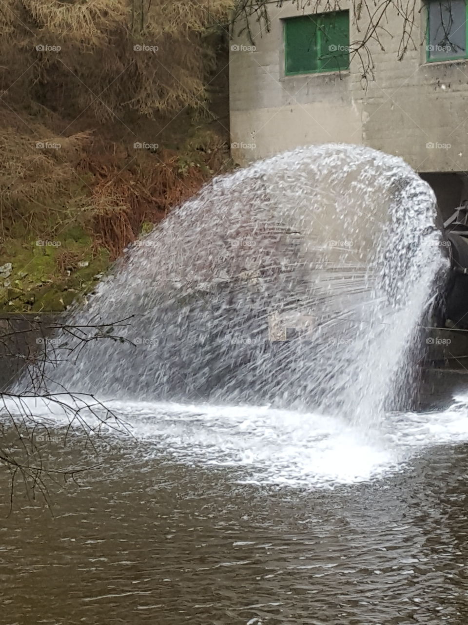 sprays of water