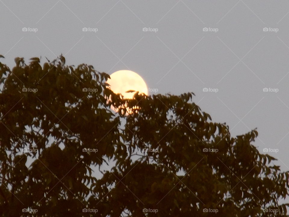 bad moon 🌚 rising. This is a picture I took while attending the local football game last night. 👣 🚶 🏃 🔥 💨