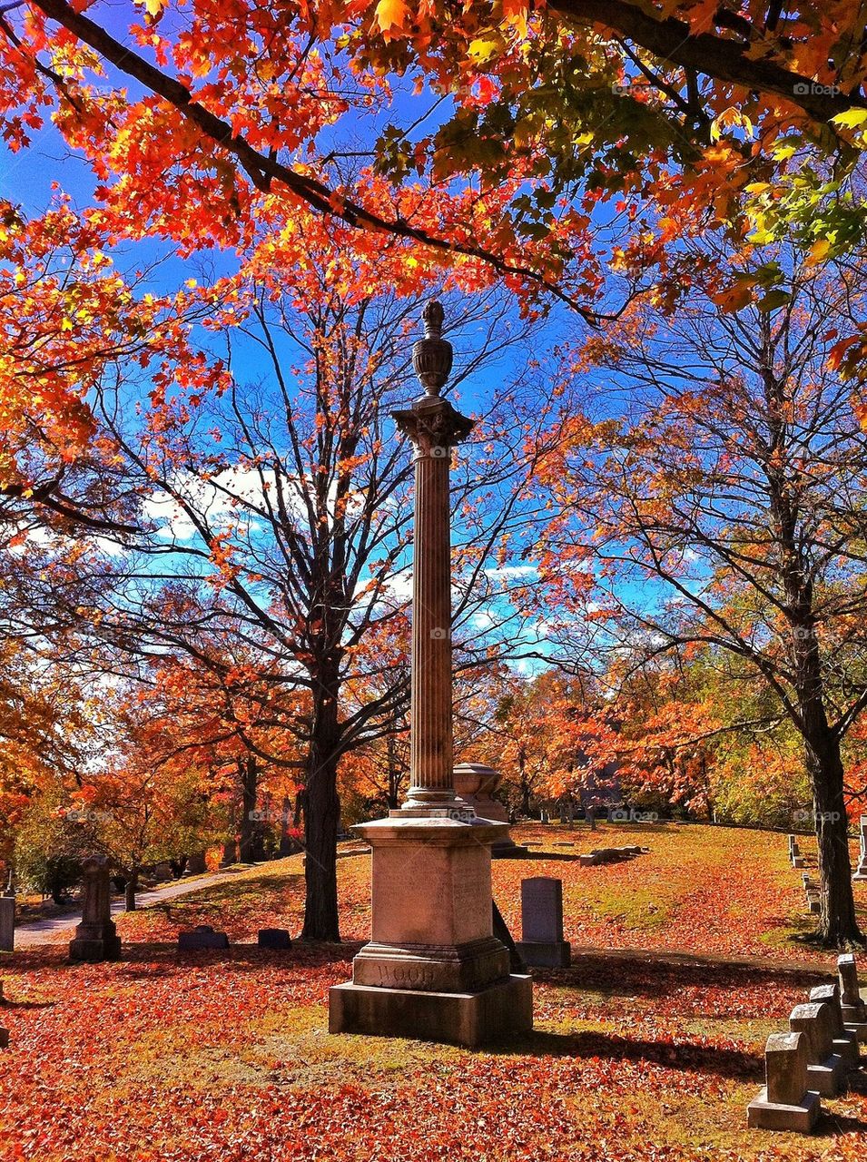 Mountain Grove Cemetery 