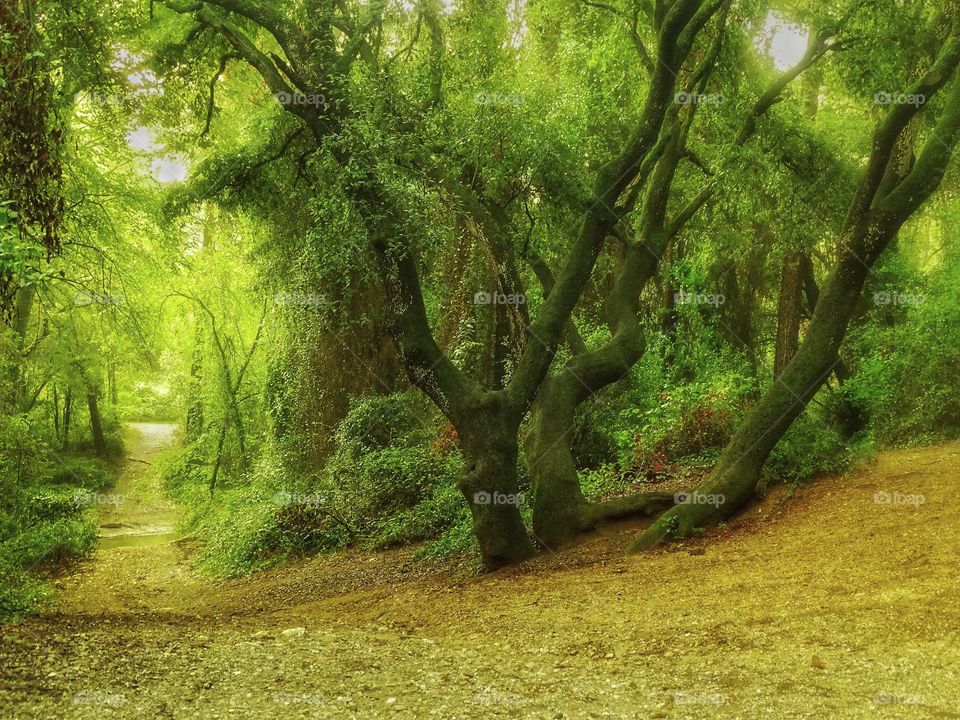 It will be that autumn comes