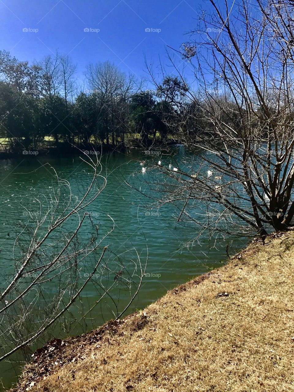 River Road Park in Boerne, Texas 