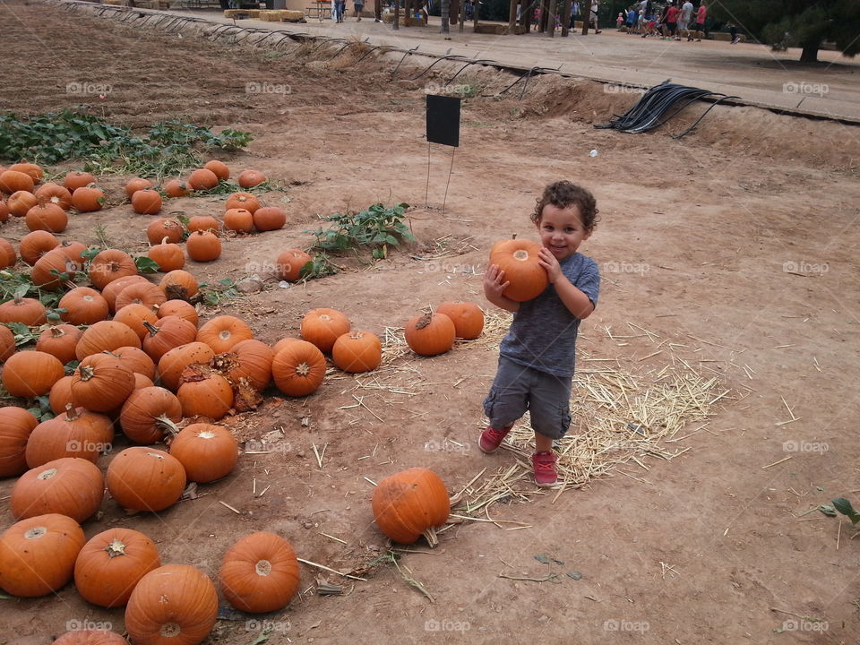 Smiling little boy holding pumpkin in hand