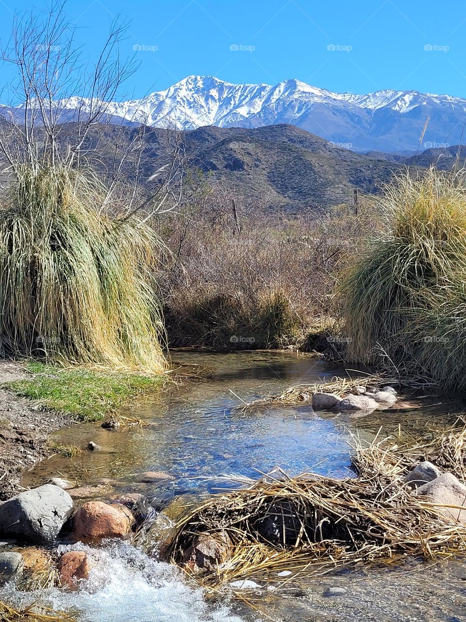 viajando cerca de la montaña