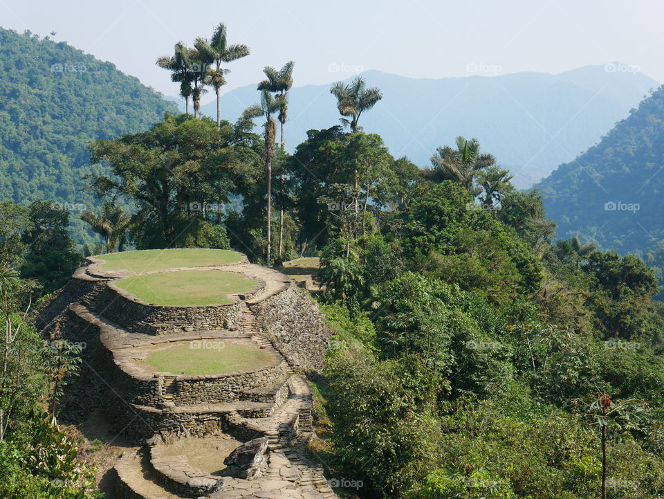 Jungle around the lost city in Colombia