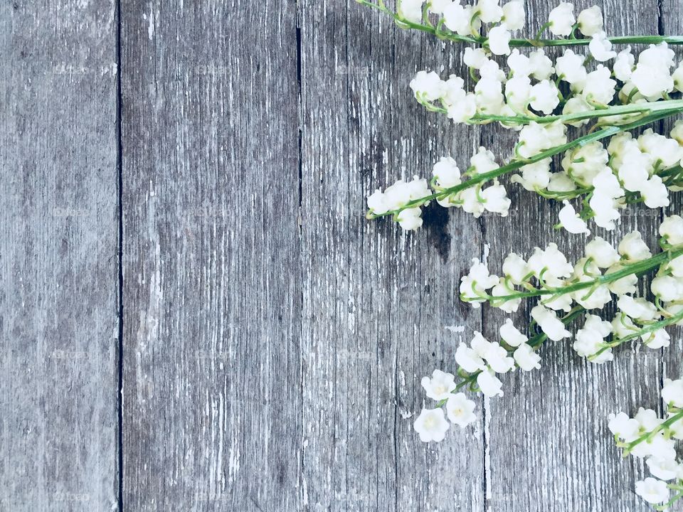 Lily of the Valley on a rustic grey and white wooden background (landscape)