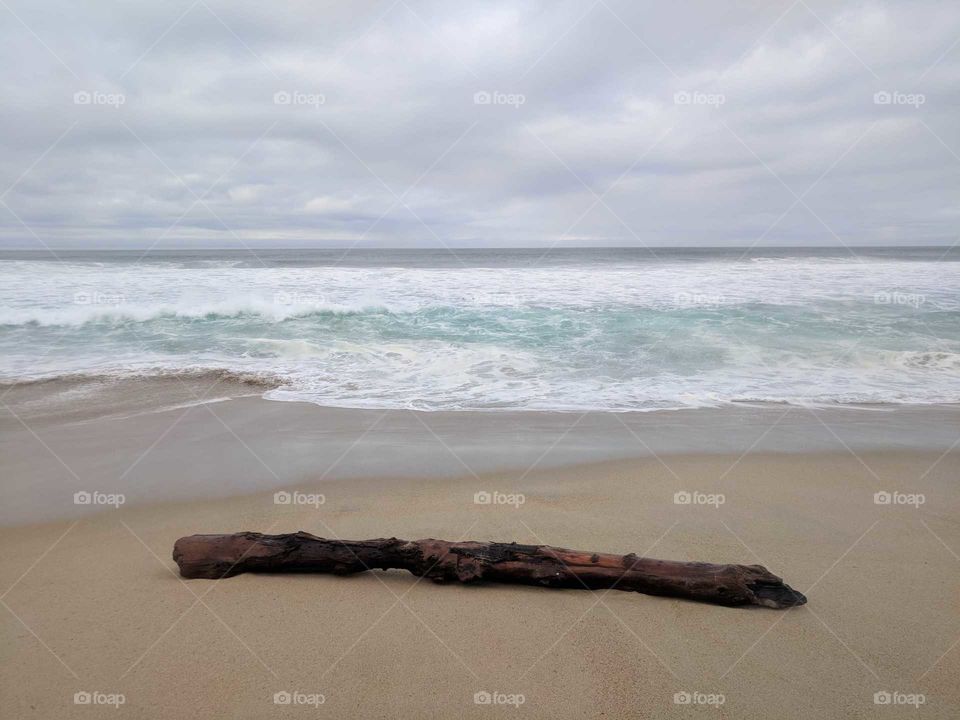 Lonely Driftwood