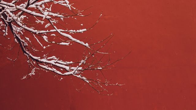 Red wall waiting for snow