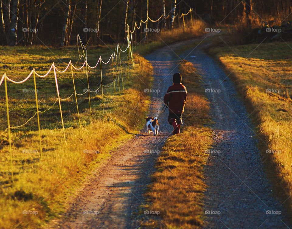 Girl in sunset