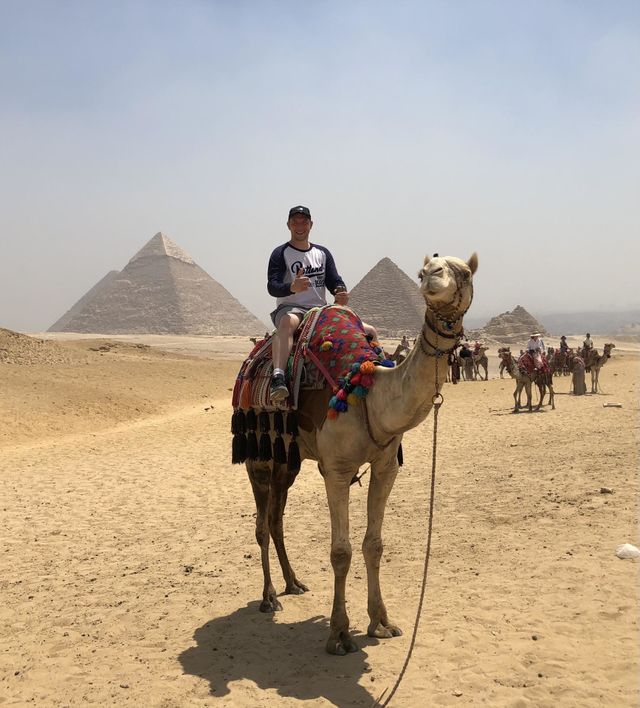 Egyptian camels and pyramids.