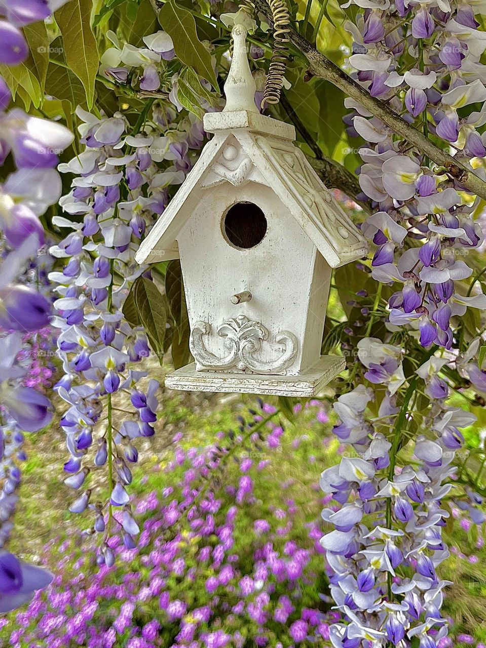 Spring Flowers and Birdhouse
