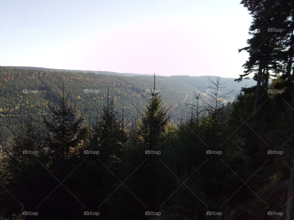 Autumn in the Black Forest