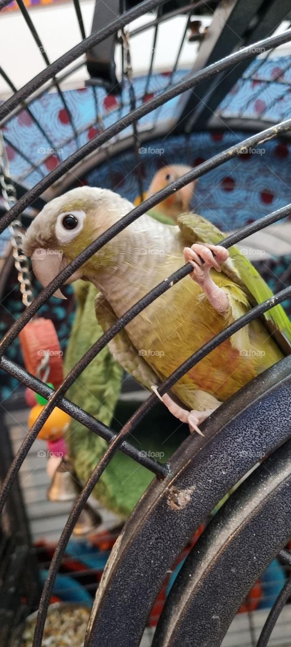 are you looking at me?