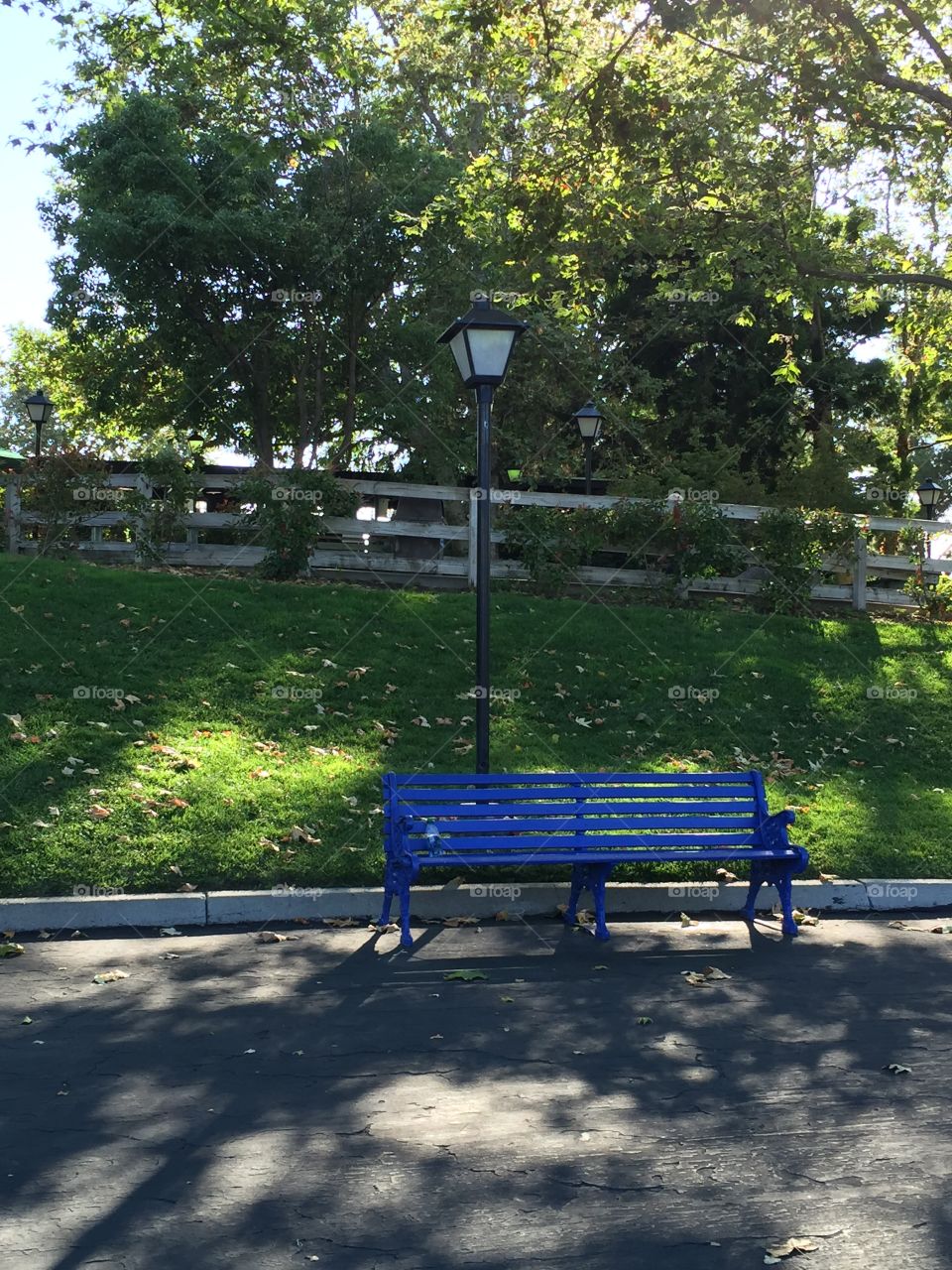 Park bench