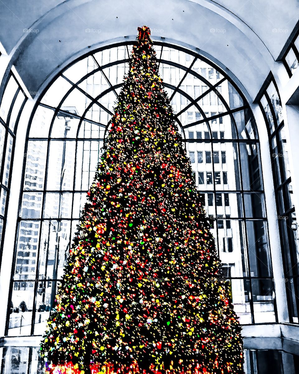 Christmas, Tree, No Person, Glass Items, Window