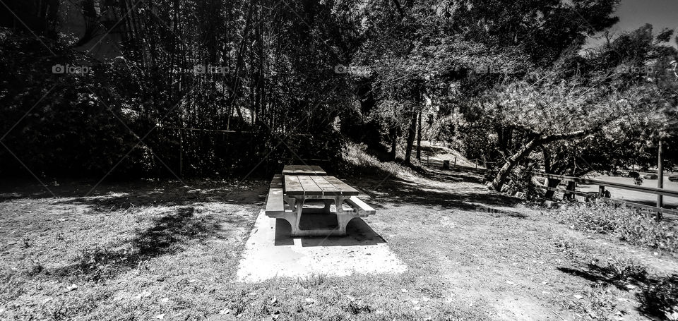 Hollywood Bowl B&W Bench