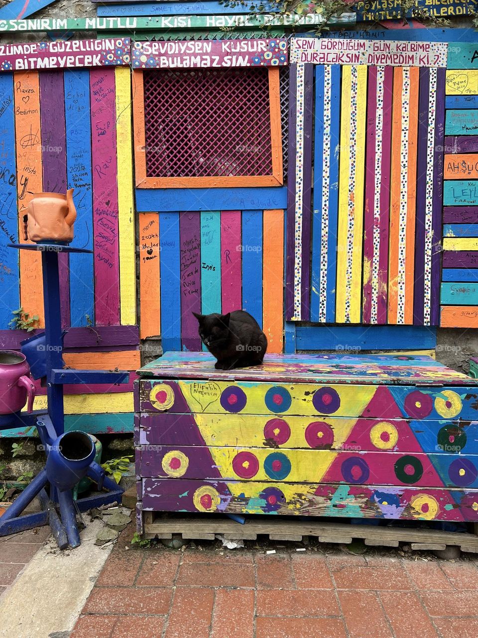Street photography. Istanbul, Turkey. Cat. Colourful place. 