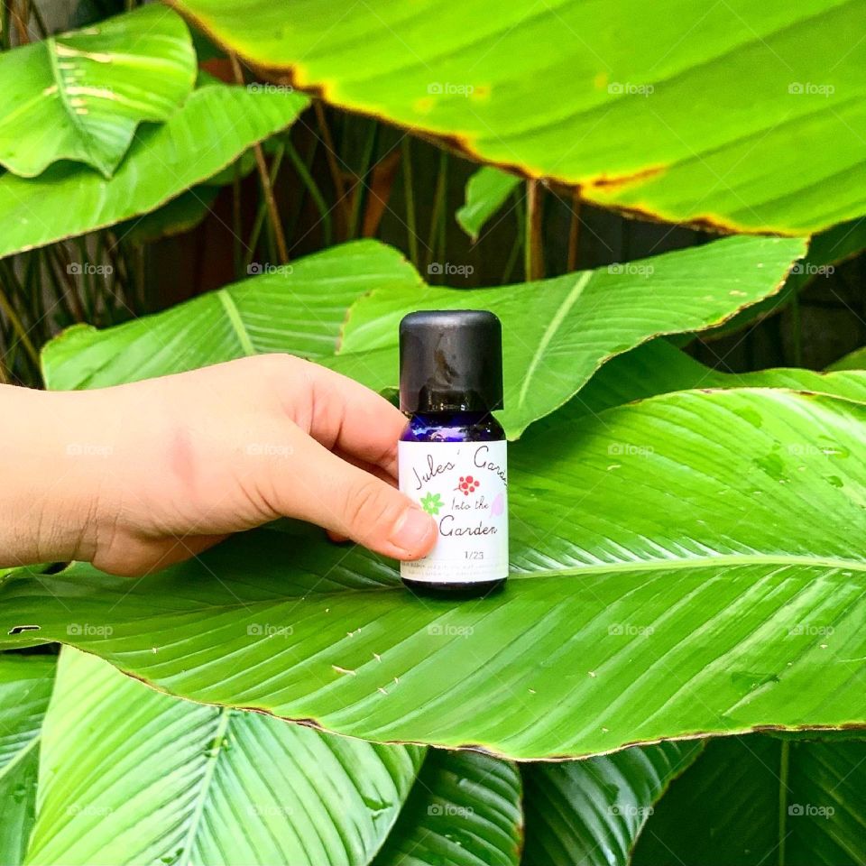Garden Essential oil in a garden setting with leaves 