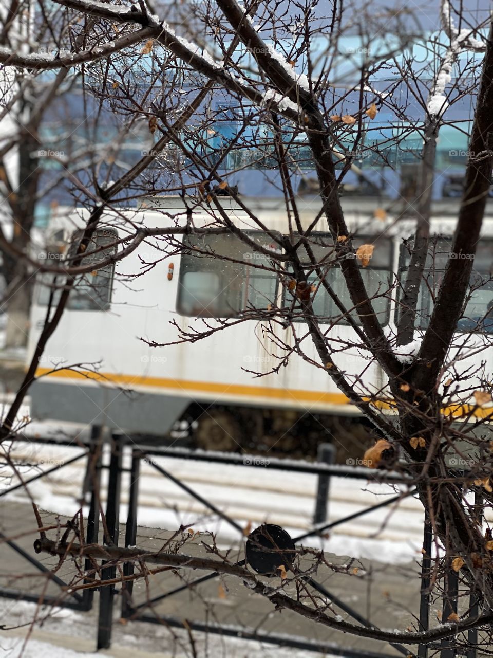 Empty tram, empty winter