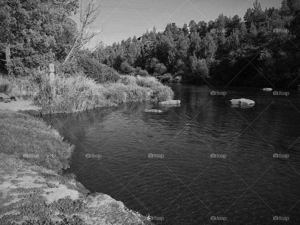 The serene Deschutes River in Central Oregon on a sunny summer day. 